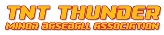 thunder baseball logo